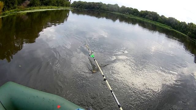 Сура 30 08 2022. Карасиный день.mp4