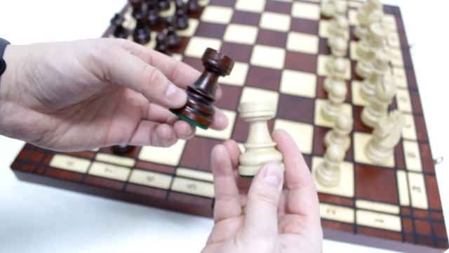 Турнирные шахматы «Tournament 8» (Madon) – обзор от магазина подарков «Счастливый случай»