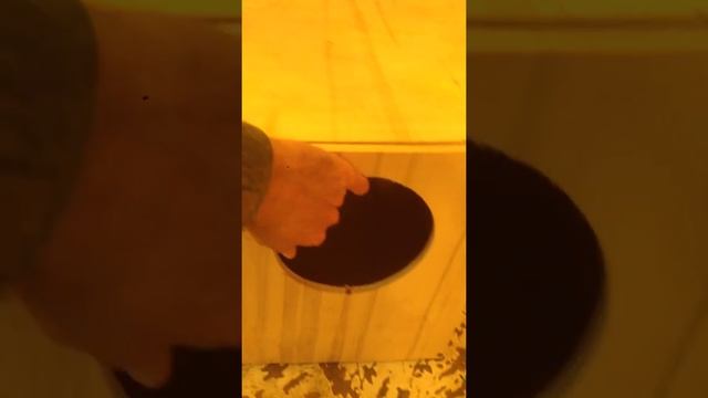 Маточник для кроликов