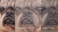 Canon EOS 5D Mark IV video color test (Cinestyle vs EOSHD)