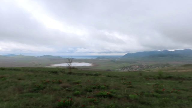 Пион узколистный на склонах горы Узун-Сырт (гора Клементьева). Крым.