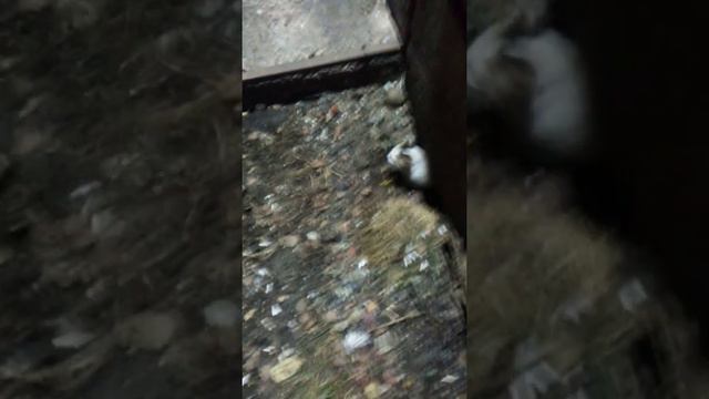 дала знать кто здесь главный