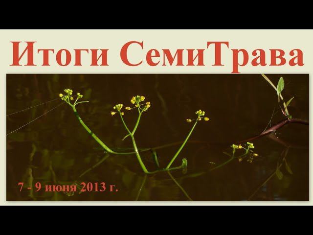 Итоги СемиТрава 7-9 июня 2013