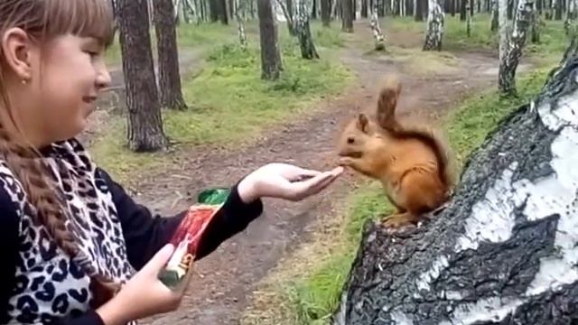 Софья кормит белку