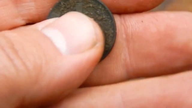 Поиск монет металлоискателем   Ноябрьскийй коп в лесах северного Донбасса