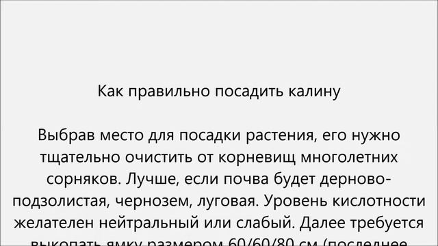 Как посадить калину