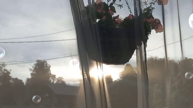 Пусть утро будет добрым..🌞