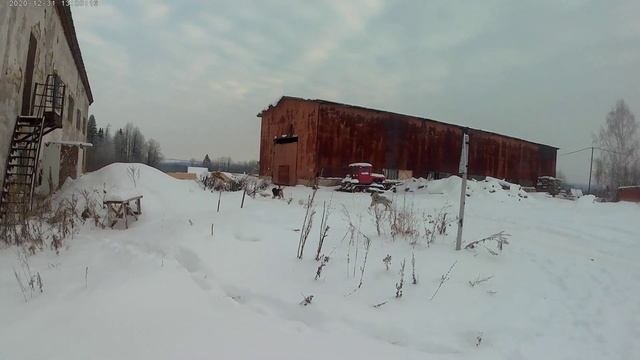 Кипиш на базе.Собачья свадьба