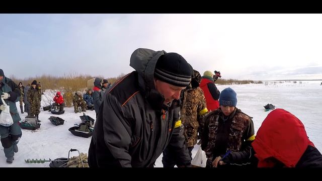 Рыболовные соревнования  Зимний Хищник 2017 . Взвешивание.