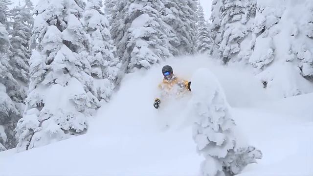 Video Squeeze Page - Genesis Club Pro WordPress Plugin - Skiing