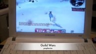 Samsung N120 plays Guildwars!