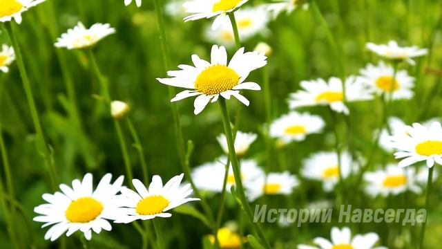 Начальник случайно зашел к уборщице, но то, что он увидел…
