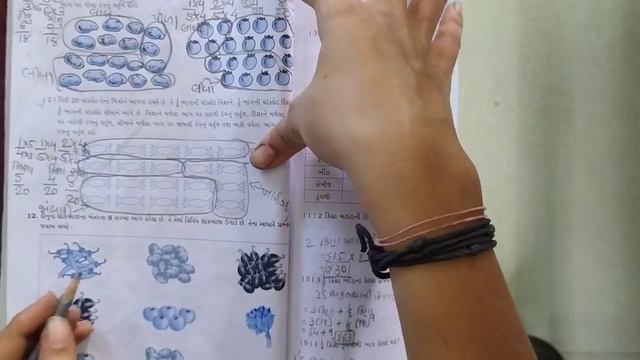 ધોરણ-૫ વિષય- ગણિત