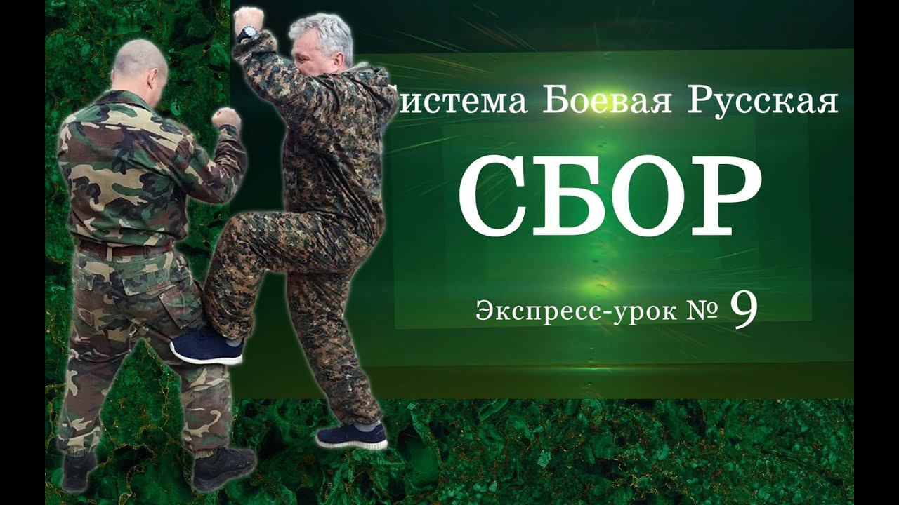 Экспресс-урок № 9 в Системе Боевой Русской «СБОР» по теме «Отвлекающий удар под колено противника».