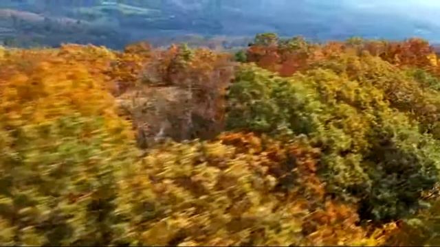 Христианские песни на праздник урожая. Праздник жатвы.