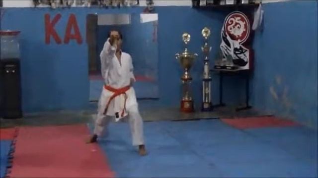 Academia Vanshin de Karatê