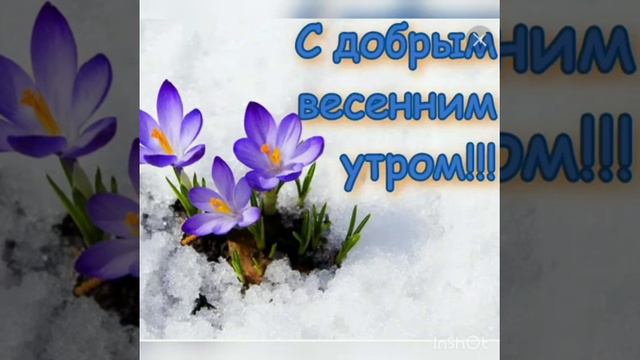С добрым весенним утром!