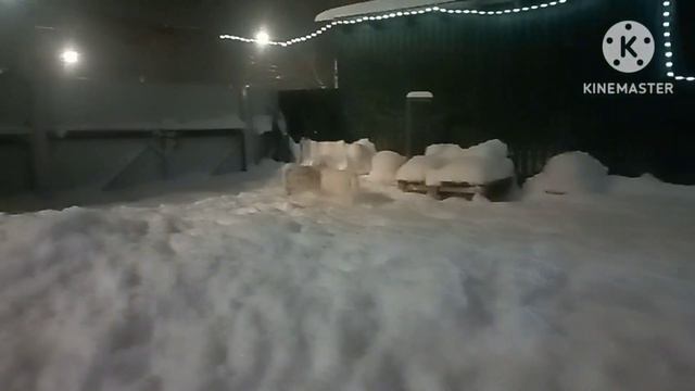 Аусси Красный Мрамор +79163125530