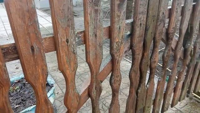 Обновление изгороди. Результат порадовал.