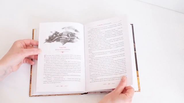 Наша коллекция. Книги Хоббит с иллюстрациями Алана Ли и Дениса Гордеева. Толкин. Властелин колец