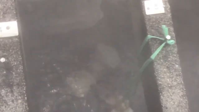 Интересный способ варки яиц в горячих источниках