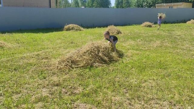 Поездка на участок. Купаемся в реке Пахра. Проверка помидоров после пересадки