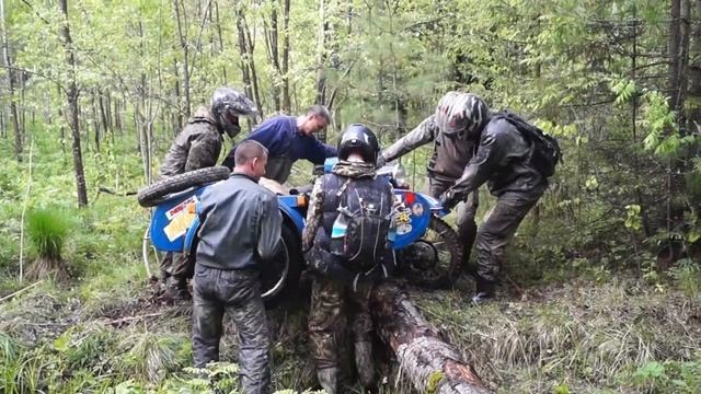 "Лежачий полицейский" в лесу