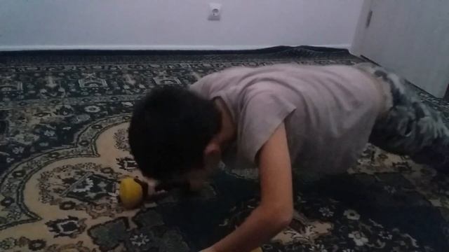 мы сделали 100 раз отжиманий