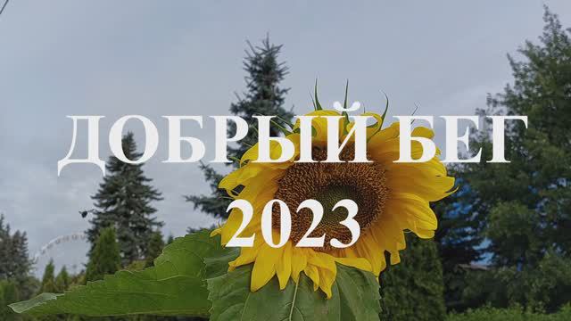 Добрый Бег 2023