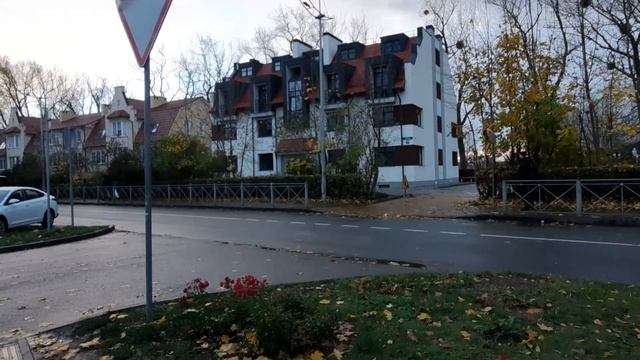ЧАЙКИ НАД ГОЛОВАМИ / БАЛТИЙСКОЕ МОРЕ / СЫРОВАРНЯ