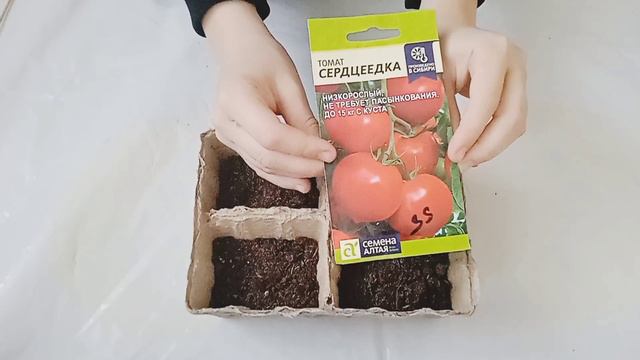 сажаю помидоры