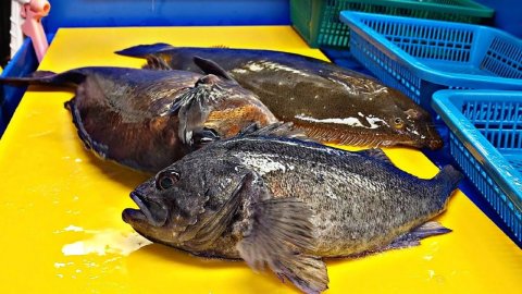 Красный морской лещ, окунь, камбала - потрясающие навыки приготовления рыбы.