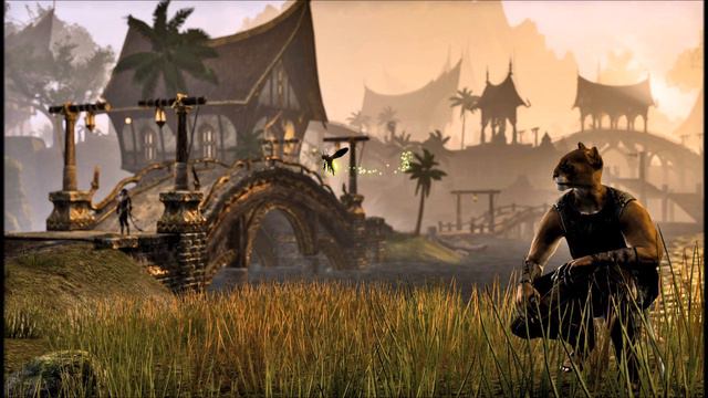The Elder Scrolls: Elsweyr Theme (unofficial)