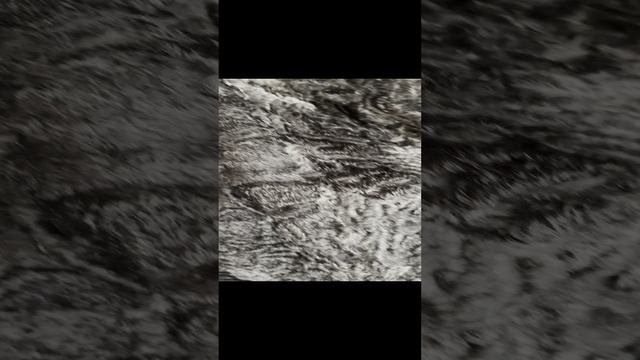 FullSizeRender