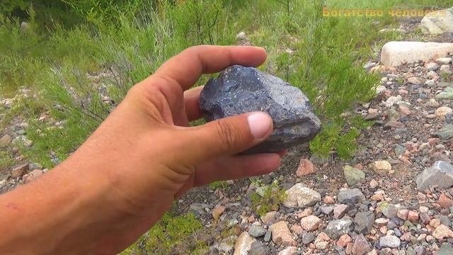 Чёрная жила и самородки золота  Black Vein And Nuggets Of Gold