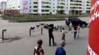 Стая бешеных собак бегает по городу