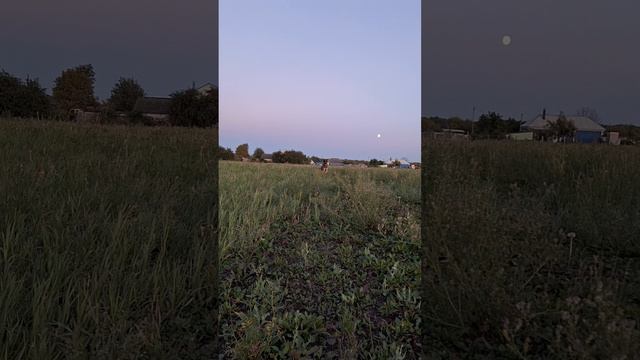 Жизнь в деревне