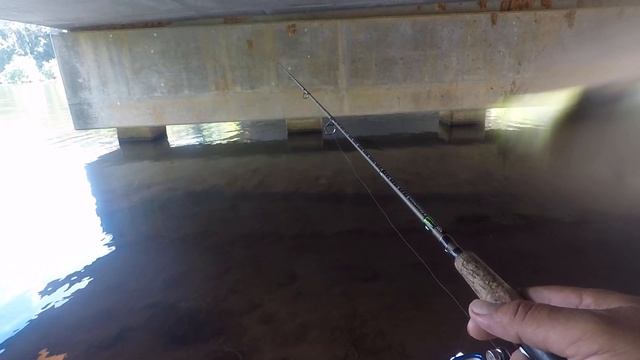Black crappie under the bridge(gulp Alive minnows)
