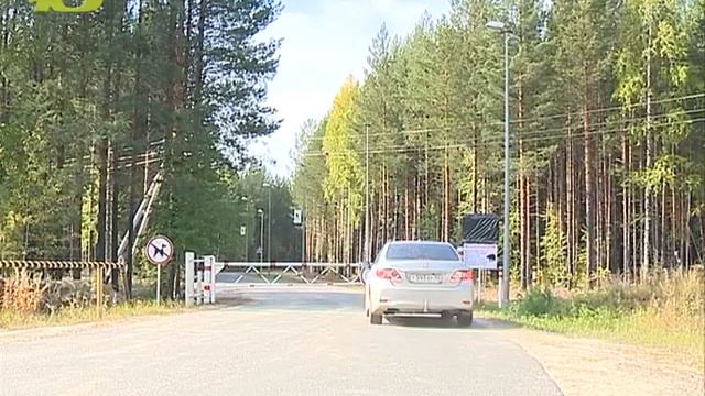 Поиски медведя продолжаются