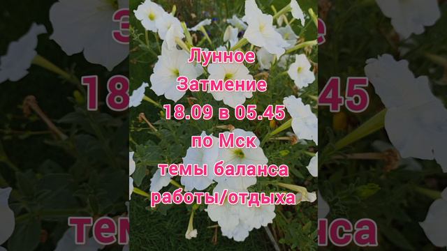 16-23.09 неделя насыщена #Джйотиш #осеннееравноденствие #затмение #2024 #лунноезатмение18.09.24