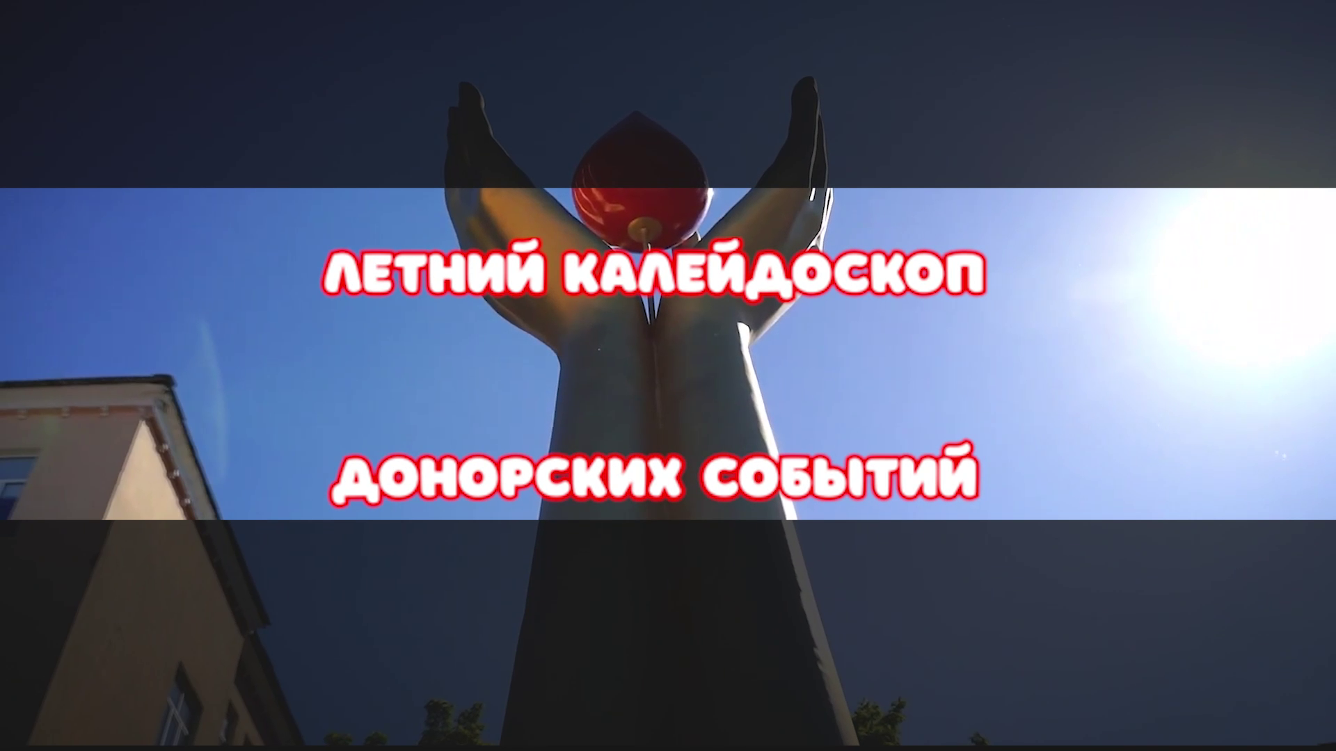 Рубрика Четыре сезона донорства. Летний калейдоскоп донорских событий