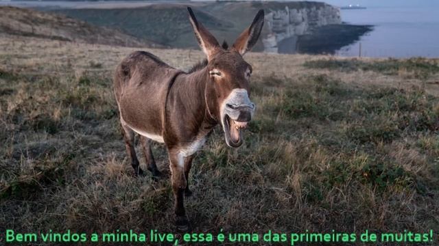 (Aulinha) Criando um site em PHP7 e MYSQL.