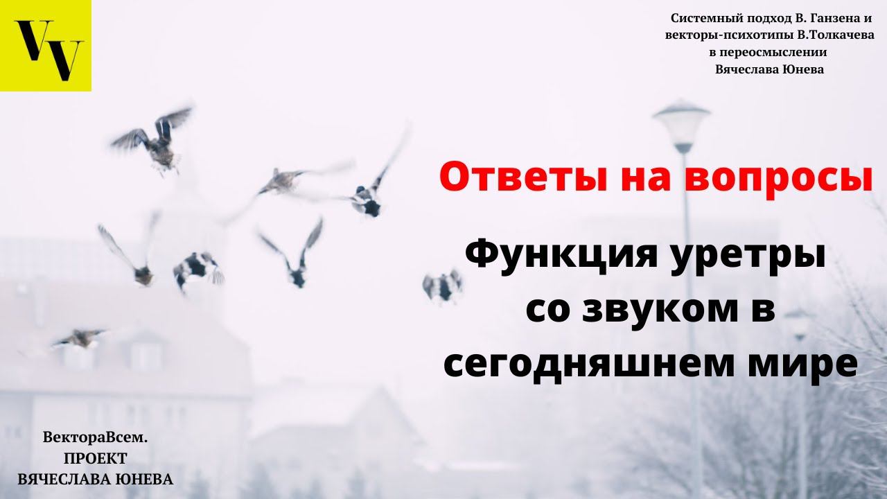 Функция уретры со звуком в сегодняшнем мире. ВектораВсем. Проект Вячеслава Юнева