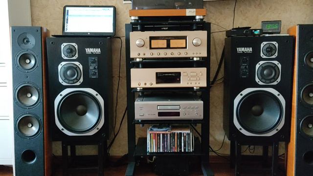 Sonus Faber Domus, Yamaha ns500m