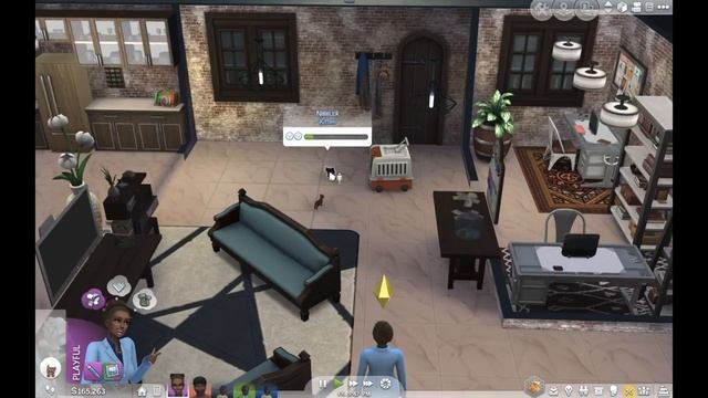 Sims 4 Let's Play: Ep. 15 Cats, Cats, Cats