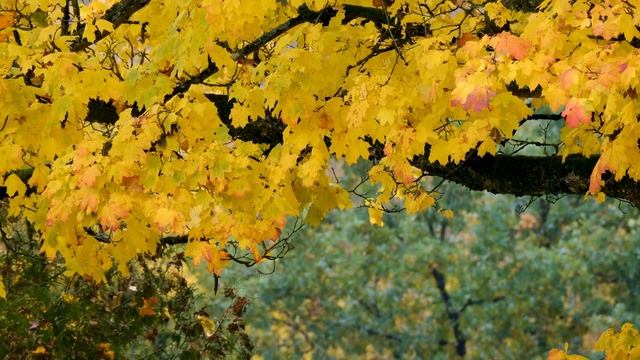Best music relax,Расслабляющая музыка для сна ,эту музыку можно слушать вечно !!!пианино,для любви!