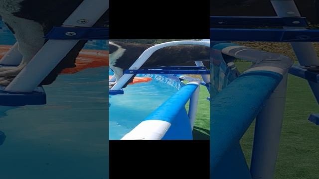 20220629_123134.mp4