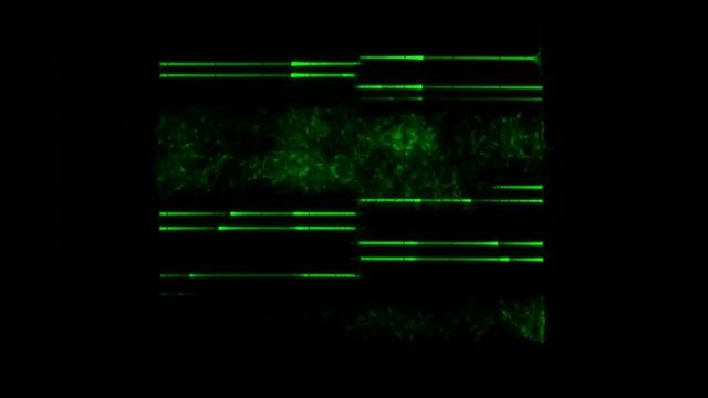 Jerobeam Fenderson - Lines