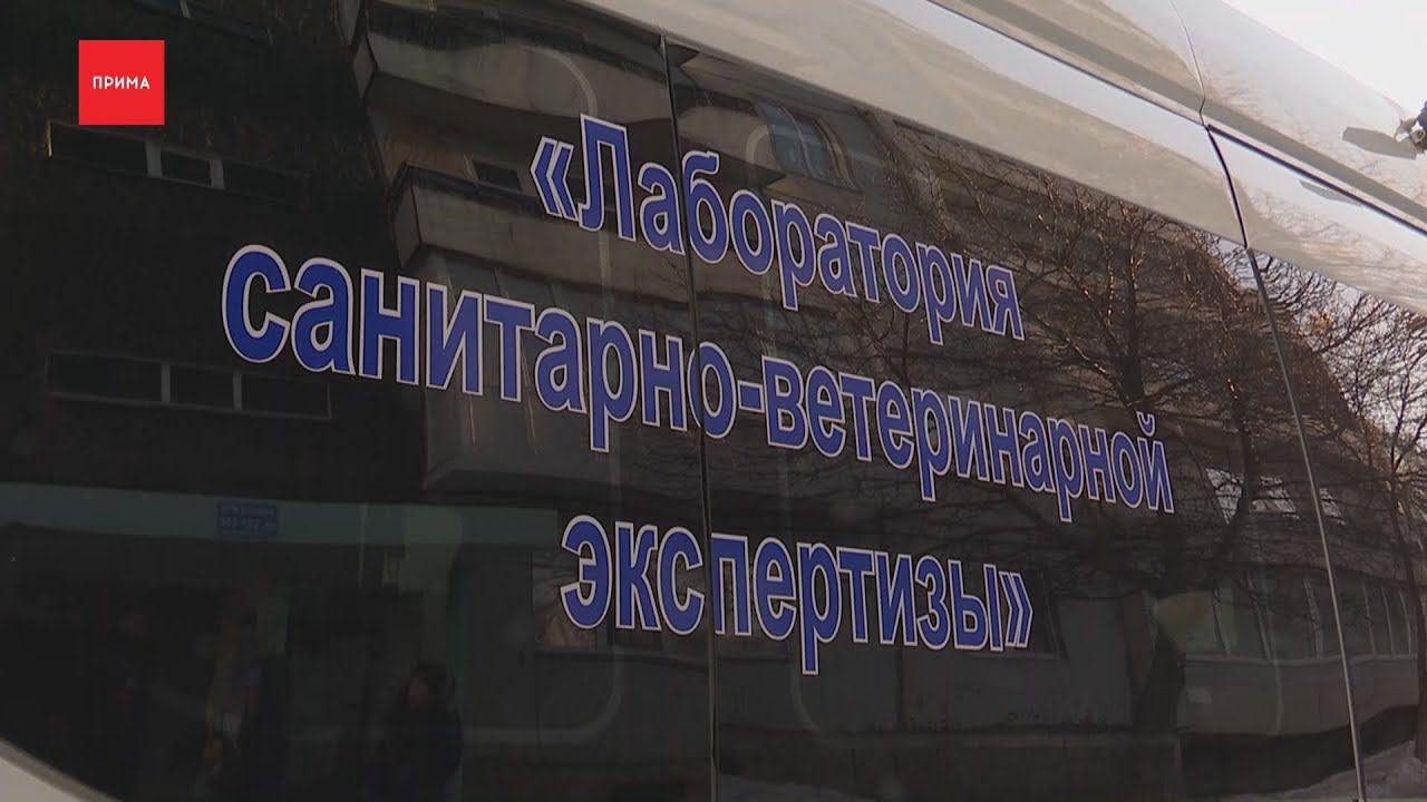 Домашняя кошка заболела бешенством в Солнечном