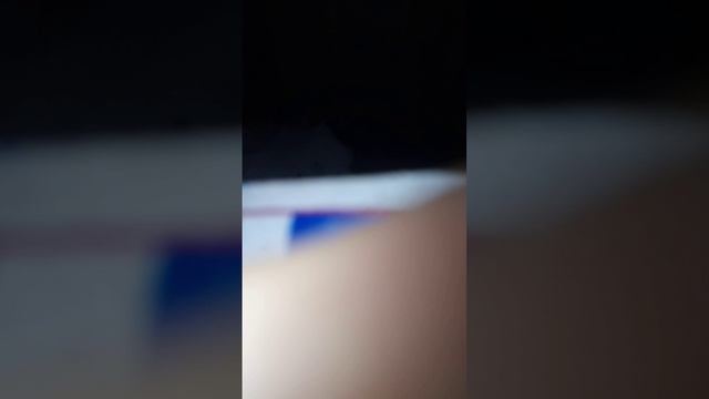 Новогодний факел.